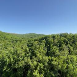Фото Отель Двух комнатная квартира с видом на лес и море, новый ЖК Лидер