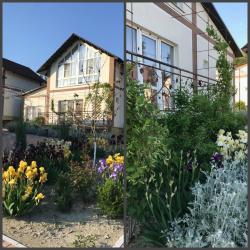 Фото Отель Шато Ди Лиз