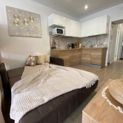 Фото Апартаменты «Сканди»