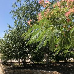 Фото Отель Город-Ок!