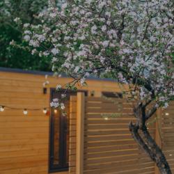 Фото Отель А-Шалаш Черноречье