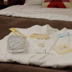 Номер делюкс с 1 двуспальной кроватью