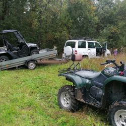 Фото Отель Гостевой комплекс Сосны