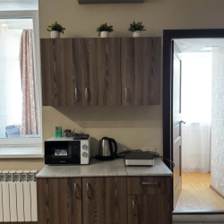 2-комнатные апартаменты стандарт город Омск, улица Масленикова дом 82 (2-к квартира 48 кв.м)