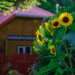 Фото Парк-отель Озеро Дивное