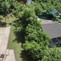 Фото Отель Дома в лесу