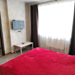 Фото Апартаменты на улице Псковская 3