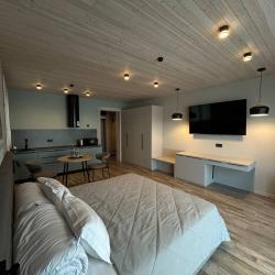 1-комнатные апартаменты люкс