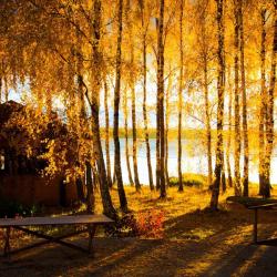 Фото Отель Хаски Хаус