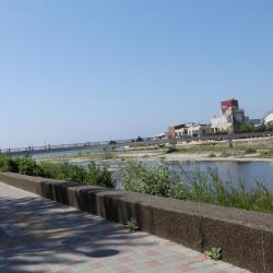 Фото Отель Страна магнолий