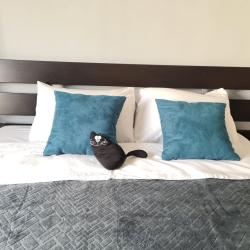 Апартаменты студия