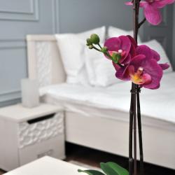 Фото Отель Прага