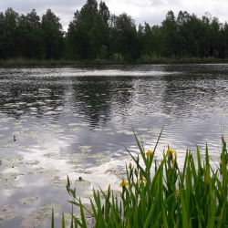 Фото Отель Рауту