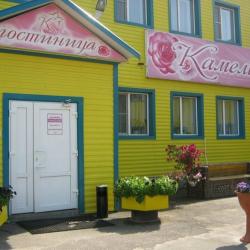 Фото Отель Камелия