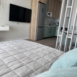 1-комнатные апартаменты студия