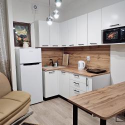 Фото Аппартаменты на улице Академика Постовского