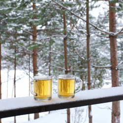 Фото Отель Алавойне