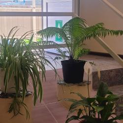 Фото Отель Единство