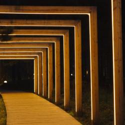 Фото Отель Pinewood resort&spa (Пайнвуд)