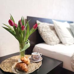 1-комнатные апартаменты стандарт