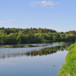 Фото Отель Домики на Луговом