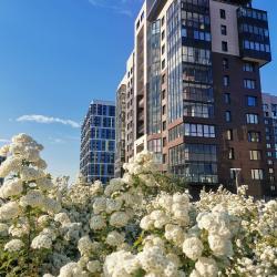Фото Отель ВГостиВПитер на проспекте Героев 34