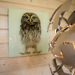 Фото Отель Хутор Ярви