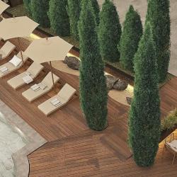 Фото Отель FORest 1961 Boutique Hotel & Restaurant (Форест 1961)