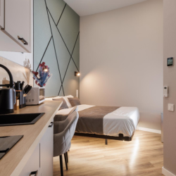 1-комнатные апартаменты студия (без окна)