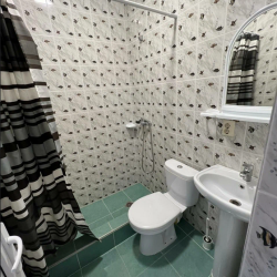 Фото Отель Виолетта