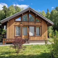 Фото Отель Коттедж А1 на базе отдыха Новинки Парк