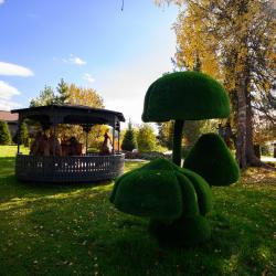 Фото Отель Chaga Dom (Чага Дом)