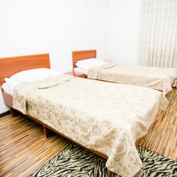 Frant Hotel (Франт Отель) — 4e9d70aa6f51783f675b79b5465c34fc