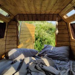 Номер стандарт Hippy Yellow