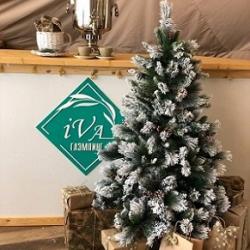 Фото Отель Ива Спа