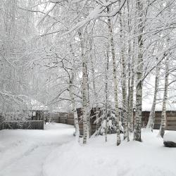Фото Отель Гостевой дом Окулова Заимка
