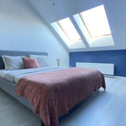 3-комнатные апартаменты стандарт (мансарда)