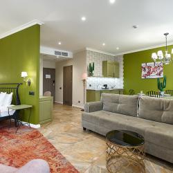 Номер студия премиум с 1 двуспальной кроватью