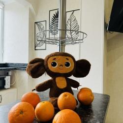 1-комнатные апартаменты улучшенные 2