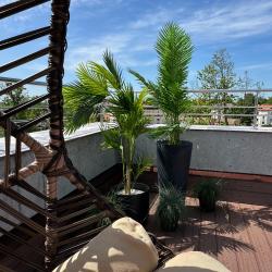 Номер люкс премиум