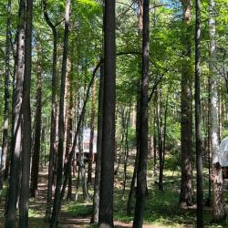 Фото Отель Светлячок Увильды