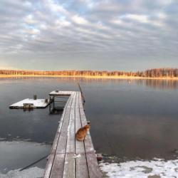 Фото Отель У озера