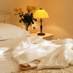 Фото Отель Гомер