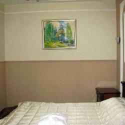 Фото Отель Веста