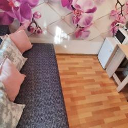 Фото Апартаменты на улице Грибоедова 8