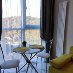 Фото Апартаменты на улице Ясногорская 16/6к1