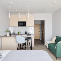 1-комнатные апартаменты студия RoomyRoom Ambassador