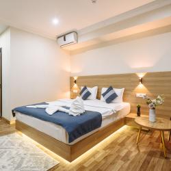 Номер премиум с двуспальной кроватью