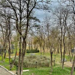 Фото Отель Евразия-Парк ()