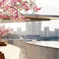 фото 20 Barin Residence Centre (Барин Резиденс Центр)